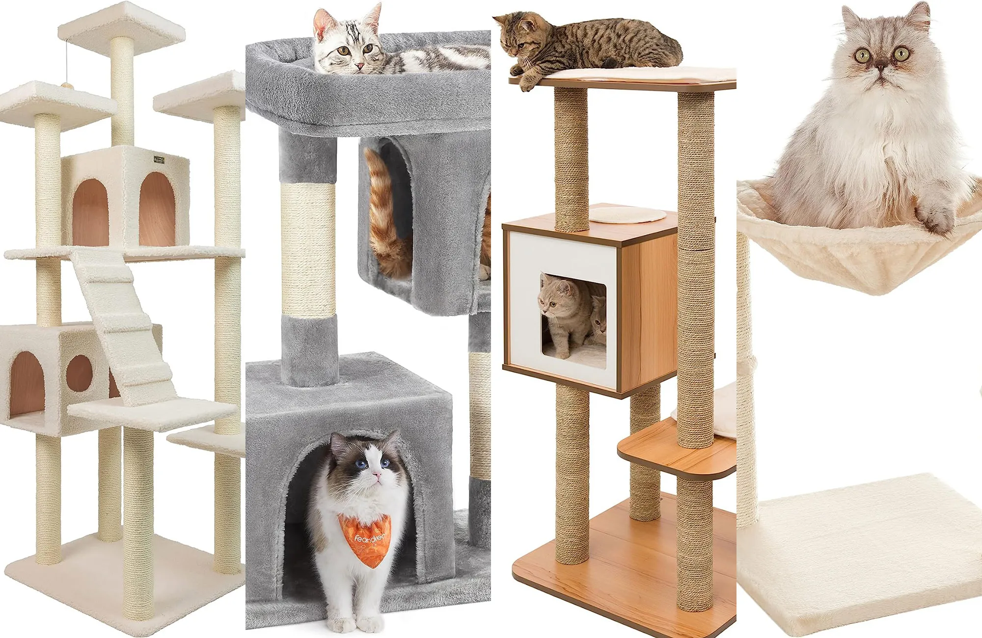 Top Best Cat Trees of 2025