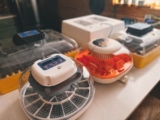 Top 10 Best Egg Incubators 2026